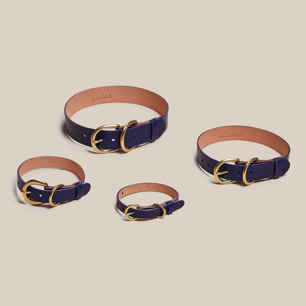 Pet Collar Sabah Blue